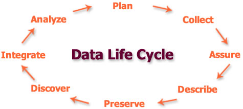 DataONE diagram of the data life cycle, which is described in text above