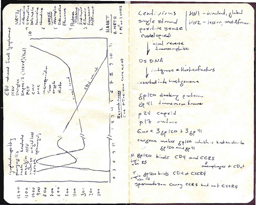 Image of Moleskine notebook with handwriting and graph