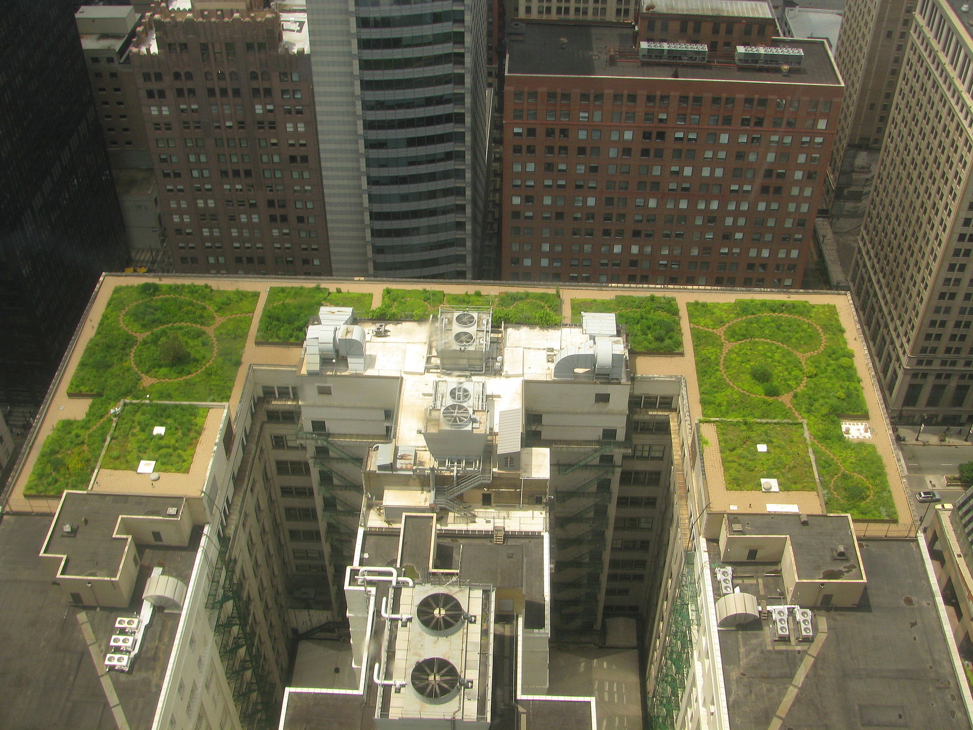 Aerial view of the green roof of Chicago City Hall