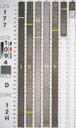 5 ice cores showing CaCO3 levels fluxtuate over time