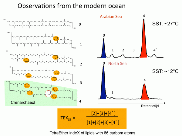 Observations from the modern ocean: TetraEther indeX of lipids with 86 carbon atoms. 