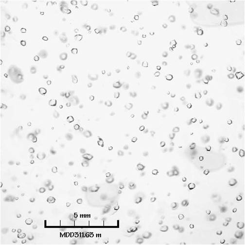 Atmospheric gas bubbles in ice core sample from the Taylor Dome core in Antarctica