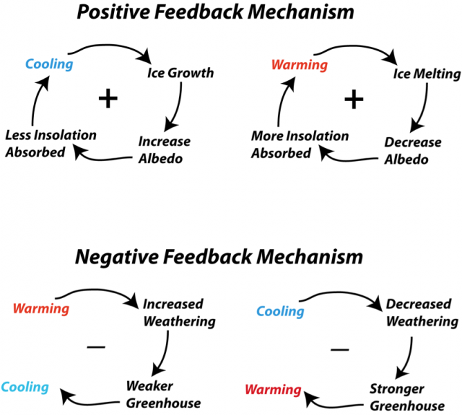 Negative Feedback Chart