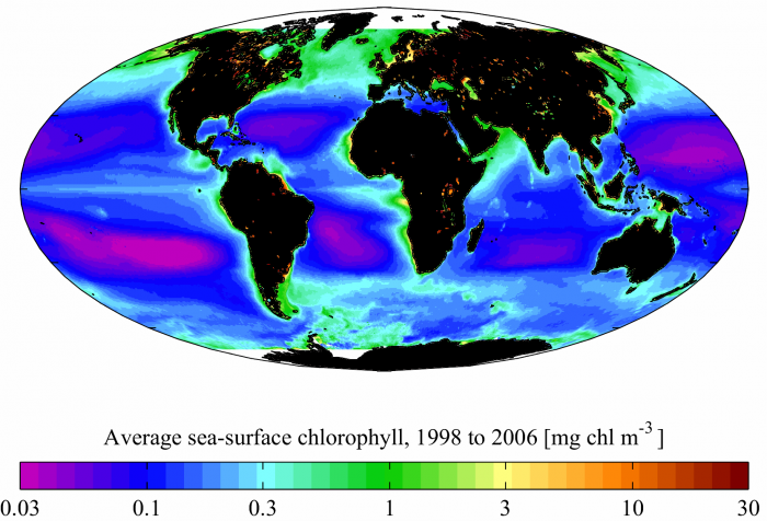 Colored world map of chlorophyll concentration