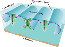 Diagram to illustrate upwelling and downwelling, shows ocean surface, convergence zones, divergence zone, downlifting, uplifting, and ocean floor