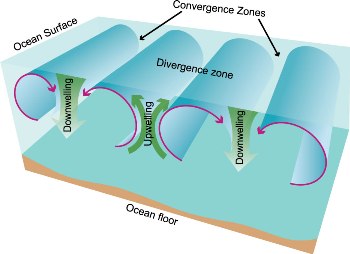 vertical movement of deep ocean water is caused by