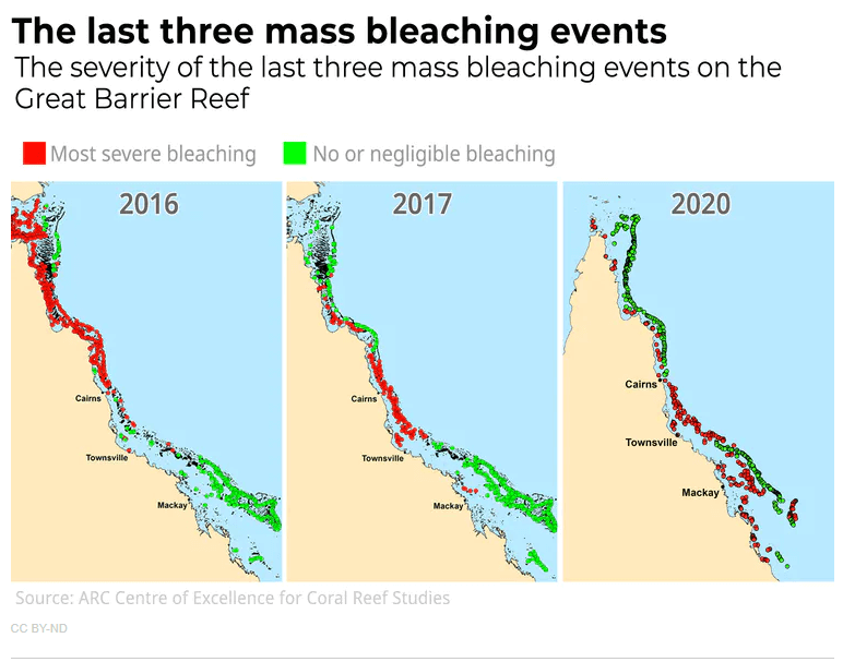 Last three mass bleaching events