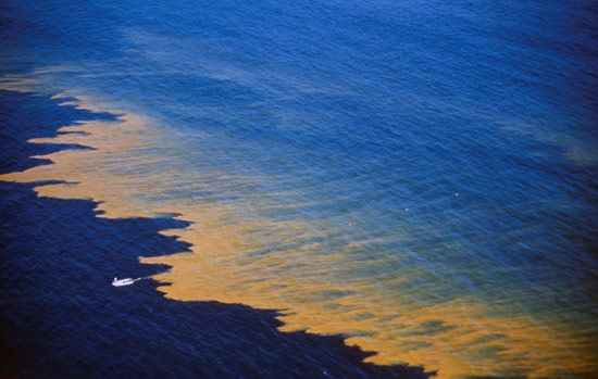 Aerial view of red tide off coast of California