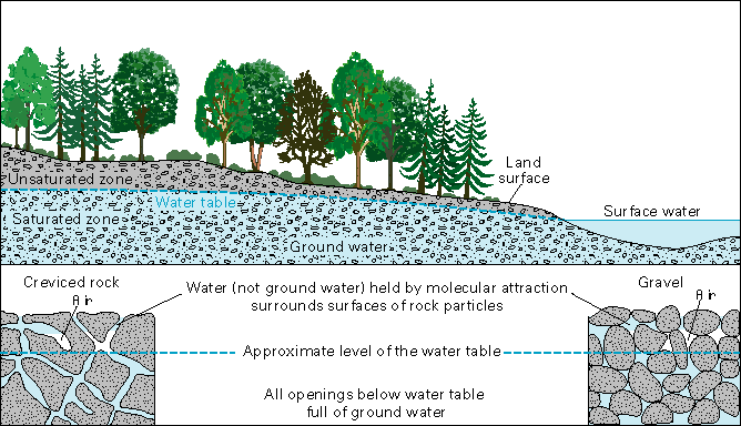 Schematic diagram of the water table, showing saturated and unsaturated zones.