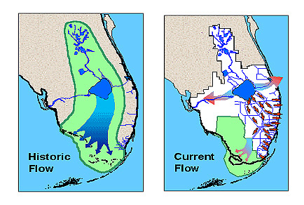 Two maps showing historic and current water flow in South Florida.