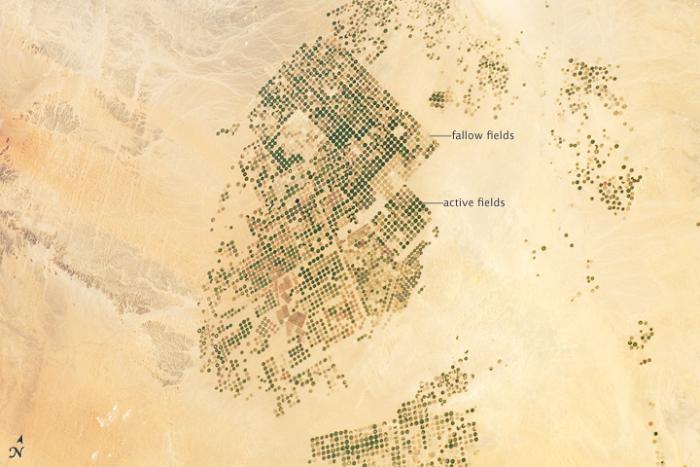 Map of precision agriculture in Saudi Arabia; note highly regular orientation of fields