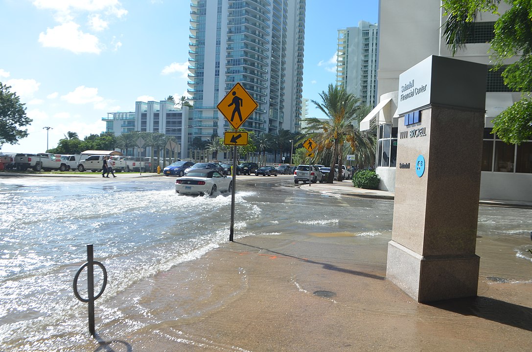 Tidal flooding on city's edge