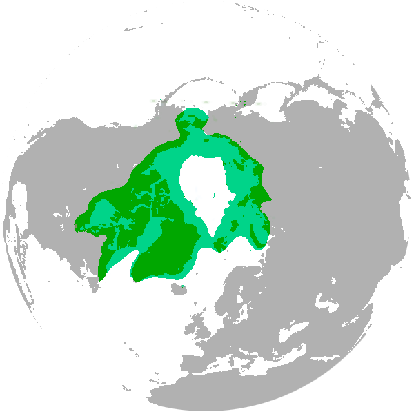 Polar bear range map