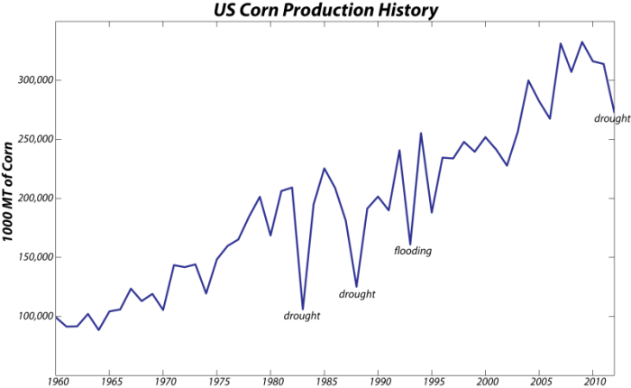 Line graph of Corn production from 1960-2010 showing fluctuating data with a general upward trend.