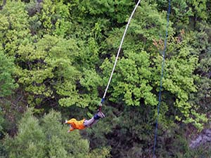 Dr. Alley in the midst of bungee jumping.