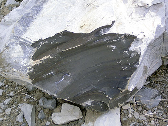 Close-up of fractured oil shale specimen.