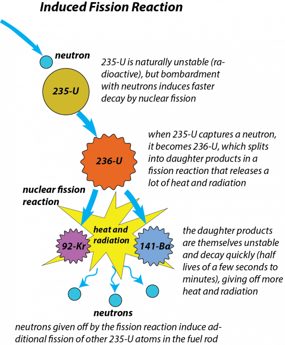 Diagram showing the induced nuclear fission reaction that takes place in a fuel rod.  235-U is bombarded by neutrons, inducing a nuclear fission reaction that releases heat, radiation, two lighter daughter products and 3 neutrons.  The 3 neutrons then induced additional reactions.