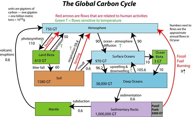 Global carbon cycle image shows how the model calculates the total carbon emissions as a function of the fractions of our energy that come from fossil fuels and renewables.