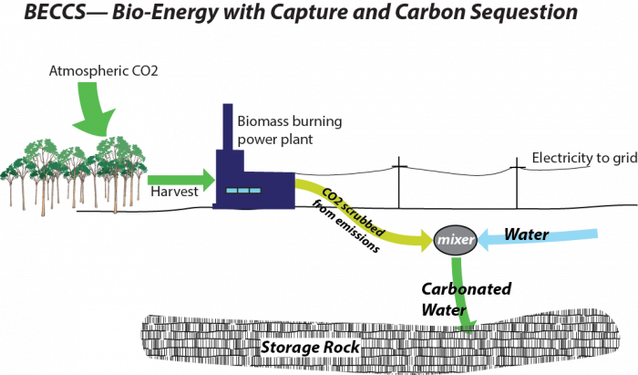 Diagram of Bio-Energy with Carbon Capture and Sequestration (BECCS)