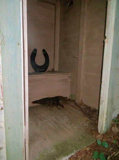 Inside of an out house with a cat lying on the floor