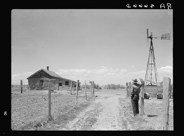 Black white pic of a farmer standing at a fence row, looking toward an old farm house