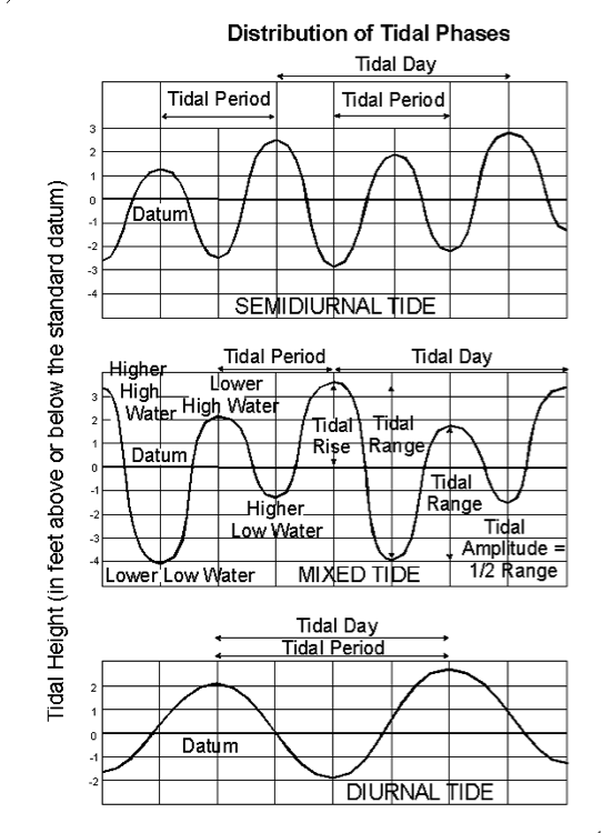 Tide Wave Chart