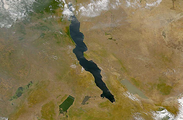 The lakes of the African Rift Valley exhibit wide variations in water color as can be seen in this SeaWiFS image.