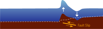 Fault slip diagram. Slip results in a dip in one area and a large rise in another resulting in a large wave.