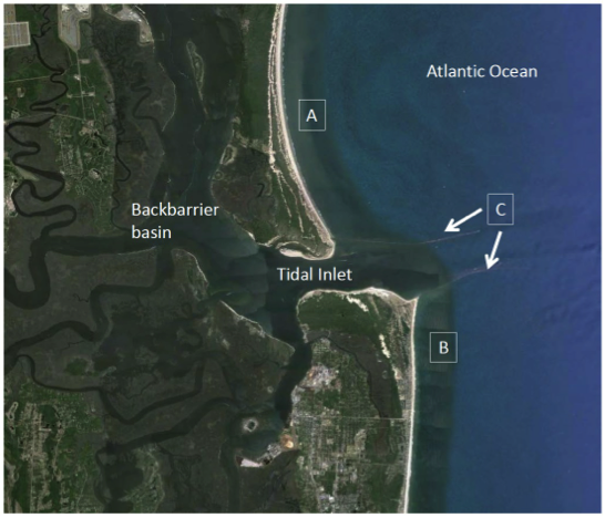 Inverted arc coastline @ top labeled a, straight coast labeled b @ bottom. Tidal inlet labeled C has sediment from a & b going out to sea.