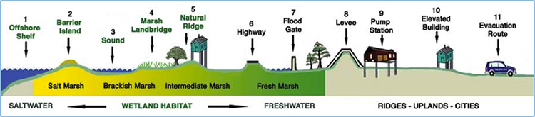 Offshore shelf, Barrier Island, sound, marsh, natural ridge, highway, flood gate, levee, pump station, elevated building, evacuation route.