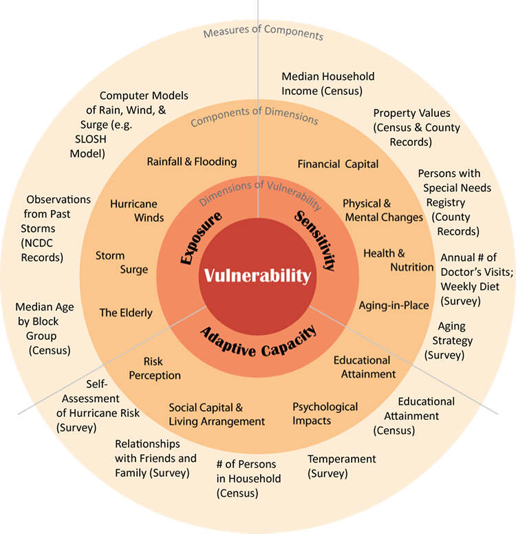 VSD showing measures of components of vulnerability of elderly to hurricanes in Sarasota, Florida. Diagram is described thoroughly below.