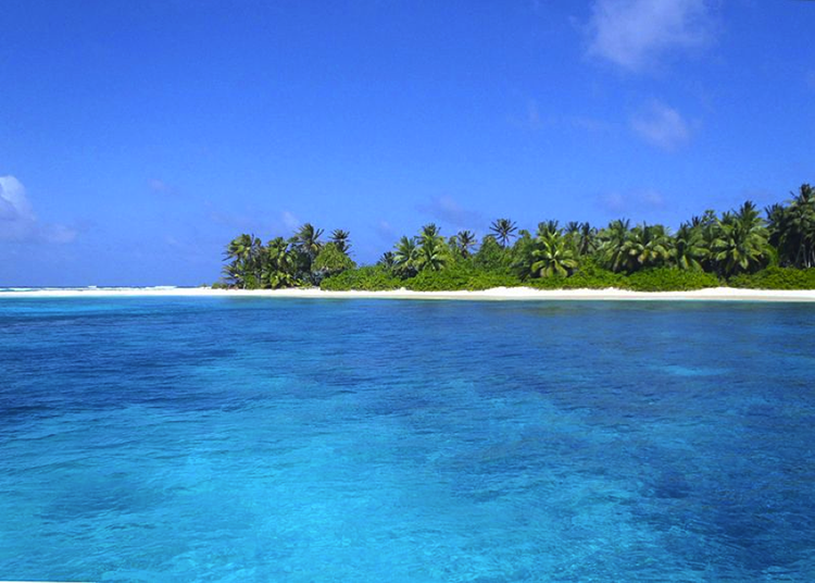 image of low elevation island with lush green vegetation 