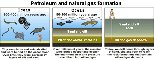 Schematic Petroleum and Natural gas Formation