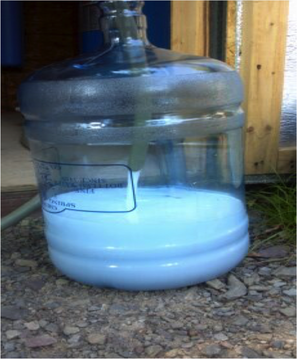 Milky-white water in large plastic jug