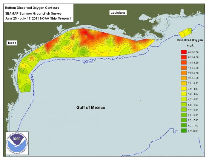 Shows dissolved oxygen levels in the Gulf of Mexico Summer 2011, clearly demarcated dead zone extends along coastline near Louisana