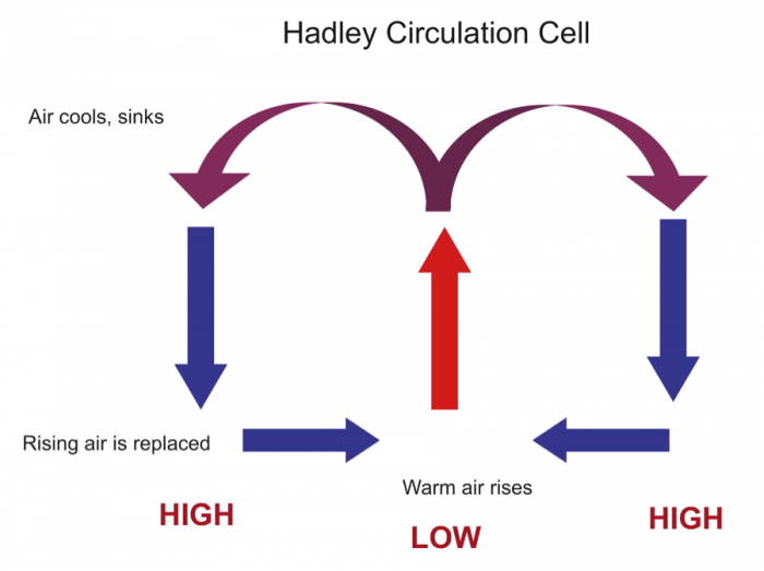 Hadley Circulation Cells start as air cools it sinks, then rising air is replaced and then warm air rises.