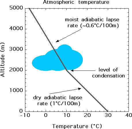 Rate of cooling of airmass rising from ground level; effect on rate of cooling at point of saturation with respect to H20 vapor 