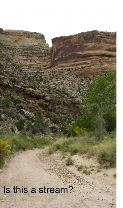 Picture of a dry stream bed.