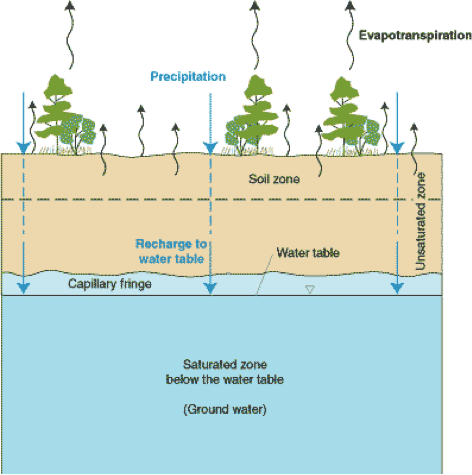 Diagram of vertical section from land surface through vadose zone, capillary fringe, and into unconfined aquifer.