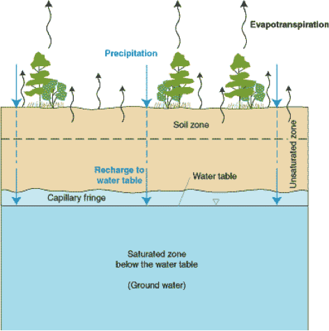 economic applications of quantile