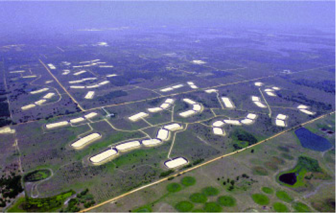 Aerial image of rows of capsule like recharge pits near Orlando, FL.