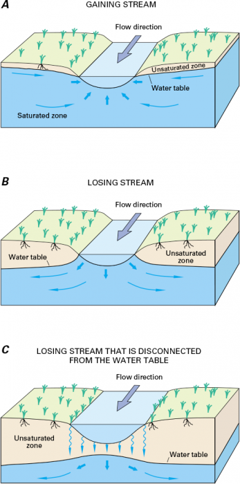Gaining stream:H2O flows 2 stream. Losing stream:H2O percolates down & away. Detached losing stream:H2O flows away through unsaturated zone