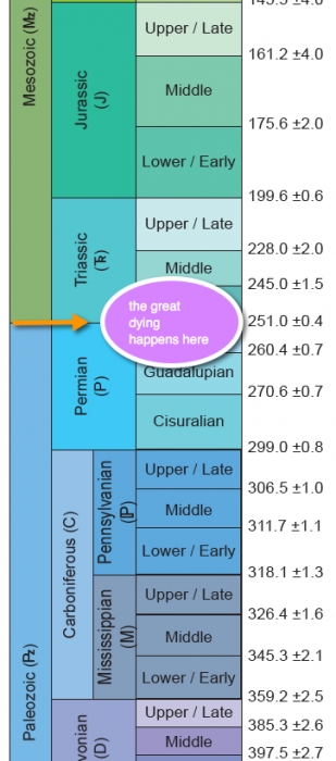 zoom in of the geologic timescale highlighted the P/Tr extinction