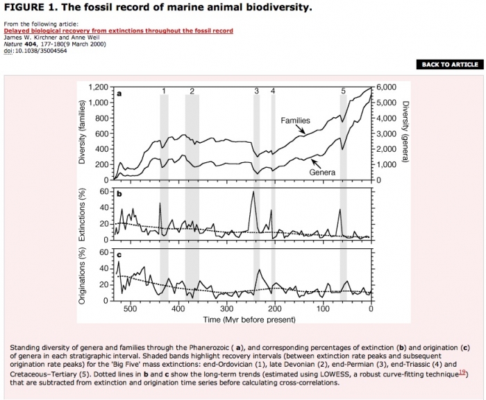  Fossil record of marine animal biodiversity