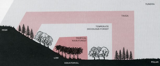 From high to low altitudes: Tundra, Taiga, temperate deciduous forest, tropical rain forest. 