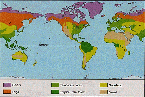 World map identifying landscapes: tundra, taiga, temperate forest, tropical rain forest, grassland, desert.