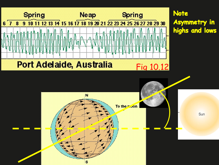 Graph of tidal data in Port Adelaide showing the elliptical nature of the tides