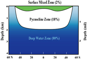 general structure of water masses as a function of depth in the ocean: Deep Water Zone (80%), Pycnocline Zone (18%), Surface Mixed Zone (2%) 