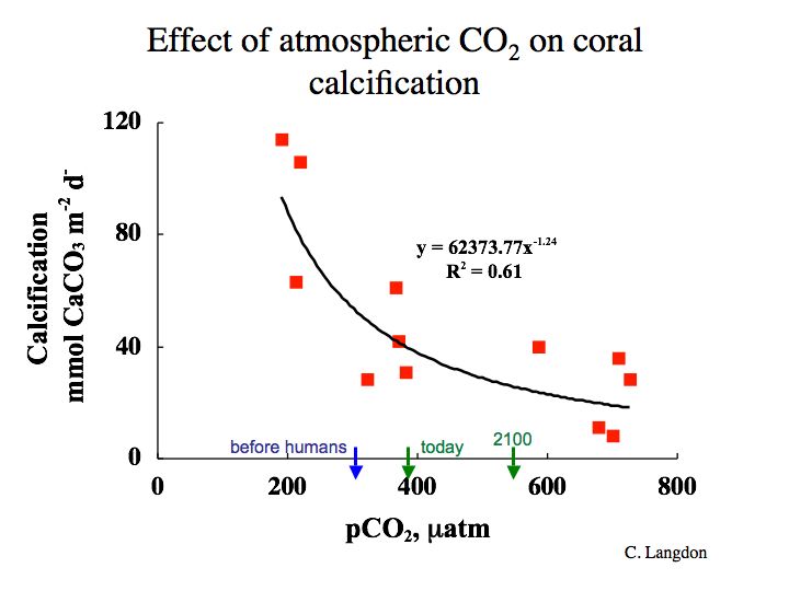graph of the Effect of atmospheric CO@ on coral calcification