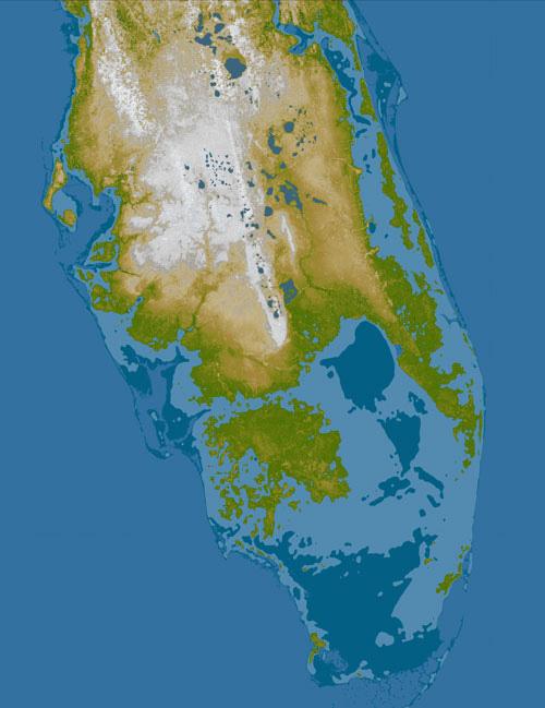 map of a florida flood - see text below